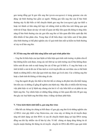 gen tương đồng gọi là gen tiền ung thư (proto-oncogenes) ở trong genome của các
động vật bình thường bao gồm cả người. Những gen tiền ung thư của tế bào bình
thường này bị đột biến có thể chuyển thành gen ung thư (oncogene) gây tạo khối u
hoặc trở thành có khả năng kết hợp với những trình tự điều hòa mới thông qua quá
trình tái tổ hợp. Quan sát này với một số quan sát thấy liên quan đã chứng tỏ răng chức
năng tế bào bình thường của các gen tiền ung thư có liên quan đến khía cạnh đặc thù
điều khiển tế bào phân chia. Trong thực tế để hiểu được việc kiểm soát tế bào phân
chia bình thường có thể phải nghiên cứu về quá trình làm mất sự kiểm tra bình thường
sẽ xảy ra tế bào ung thư.
IV.Tế bào ung thư mất khả năng kiểm soát quá trình phân bào
- Ung thư là biểu hiện của lọai bệnh có biểu hiện quá trình sinh trưởng và phân chia tế
bào không kiểm soát được, trong các mô tĩnh tại sự sinh trưởng của tế bào không được
kiểm soát đã sản sinh ra một lượng lớn các tế bào gọi là khối u. U ung thư hoặc u ác
tính là khối u mà từ đó các tế bào tách ra và di truyển đến các nơi khác của cơ thể hình
thành ra những khối u thứ cấp (quá trình này được gọi là di căn). Các u không ung thư
hoặc u lành tính thì không có khả năng di căn.
- Ung thư người đã gây tổn thất to lớn bởi thế có chúng ta đã phải tiêu tốn khối lượng
lớn tiền của và những cố gắng để nghiên cứu bệnh này. Mặc dầu có nhiều tiến bộ trong
việc phát hiện và xử lý bệnh này nhưng còn hơi ít về việc hiểu biết cơ sở phân tử của
bệnh ung thư. Tuy nhiên hiện có những bằng chứng có liên quan đến trên 40 gen ung
thư gây các loại bệnh ung thư khác nhau. ở động vật được phát hiện.
V. Virus kích thích sinh khối u, gen ung thư virus
- Hầu hết các thông tin chúng ta biết được về gen gây ung thư là từ những nghiên cứu
về RNA virut gây khối u hay Retrovirus, các virus này có thông tin di truyền được
tàng trữ dưới dạng sợi đơn RNA và sau đó chuyển thành dạng sợi kép DNA tương
đồng sau khi lây nhiễm vào tế bào ký chủ. Vì thế chúng sử dụng dòng thông tin di
truyền muộn thường thì thông tin di truyền chuyển từ DNA đến RNA qua quá trình
39
 