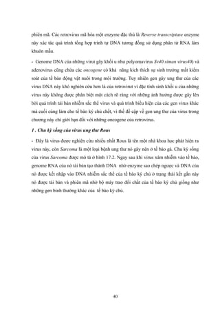 phiên mã. Các retrovirus mã hóa một enzyme đặc thù là Reverse transcriptase enzyme
này xác tác quá trình tổng hợp trình tự DNA tương đồng sử dụng phân tử RNA làm
khuôn mẫu.
- Genome DNA của những virut gây khối u như polyomavirus Sv40 siman virus40) và
adenovirus cũng chứa các oncogene có khả năng kích thích sự sinh trưởng mất kiểm
soát của tế bào động vật nuôi trong môi trường. Tuy nhiên gen gây ung thư của các
virus DNA này khó nghiên cứu hơn là của retrovirut vì đặc tính sinh khối u của những
virus này không được phân biệt một cách rõ ràng với những ảnh hưởng được gây lên
bởi quá trình tái bản nhiễm sắc thể virus và quá trình biểu hiện của các gen virus khác
mà cuối cùng làm cho tế bào ký chủ chết, vì thế đề cập về gen ung thư của virus trong
chương này chỉ giới hạn đối với những oncogene của retrovirus.
1 . Chu kỳ sống của virus ung thư Rous
- Đây là virus được nghiên cứu nhiều nhất Rous là tên một nhà khoa học phát hiện ra
virus này, còn Sarcoma là một loại bệnh ung thư nó gây nên ở tế bào gà. Chu kỳ sống
của virus Sarcoma được mô tả ở hình 17.2. Ngay sau khi virus xâm nhiễm vào tế bào,
genome RNA của nó tái bản tạo thành DNA nhờ enzyme sao chép ngược và DNA của
nó được kết nhập vào DNA nhiễm sắc thể của tế bào ký chủ ở trạng thái kết gắn này
nó được tái bản và phiên mã nhờ bộ máy trao đổi chất của tế bào ký chủ giống như
những gen bình thường khác của tế bào ký chủ.
40
 