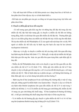 - Việc mất hoạt tính GTPase có thể khóa protein ras ở dạng hoạt hóa có thể kích cò
làm phân chia tế bào tiếp tục xẩy ra và hình thành khối u.
- Kết luận các sản phẩm gen của gen ras đóng vai trò quan trọng trong việc kiểm soát
phân chia tế bào.
8. Chuyển vị điểm gẫy tại locus tiền ung thư
- Có mối tương quan giữa kiểu ung thư với những thay đổi đặc thù trong cấu trúc
nhiễm sắc thể, đặc biệt hiện tượng gẫy và chuyển vị nhiễm sắc thể đến nơi không
tương đồng, thiếu và mất đoạn liên quan đến nhiễm sắc thể đặc thù. Thường điểm gẫy
xẩy ra ở các điểm giống nhau của nhiễm săc thể đặc thù này ở kiểu ung thư nhất định.
Thí dụ như nhiễm sắc thể Philadelphia số 22 của người mất một đoạn lớn vai dài, 90%
người có nhiễm sắc thể kiểu này bị bệnh ung thư bạch cầu mạn hà lan (chronic
myelogenous leukemia).
- Hiện nay vị trí gẫy và chuyển vị nhiễm sắc thể của từng chiếc liên quan đến từng
loại bệnh ung thư đã được biết (hình 17.7). Điểm gẫy và sắp xếp lại nhiễm sắc thể gây
biểu hiện gen tiền ung thư hoặc các gen điều hòa quan trọng khác cạnh điểm gẫy bị
thay đổi.
- Nhiễm sắc thể Philadelphia được sinh ra do chuyển vị qua lại liên quan đến các đầu
của nhiễm sắc thể số 9 và 22 (hình 17.8). Điểm gẫy trên nhiễm sắc thể số 9 làm
chuyển vị xẩy ra rất gần gen tiền ung thư c-abl và sự trao đổi đã chuyển gen c-abl sang
nhiễm sắc thể 22. Một số bệnh nhân tạo ra phiên mã gen c-abl không bình thường, số
khác điểm gẫy xẩy ra xa hơn nhưng luôn phiên mã theo hướng 5’.
- Bệnh ung thư tế bào lymphocyte B sản xuất kháng thể, thường thấy ở một số vùng
châu phi, những người bị nhiễm bệnh virus Epstein-Barr. Chuyển vị xẩy ra ở tế bào B
của bệnh nhân Burkitt lymphoma liên quan đến nhiễm sắc thể số 8 và một trong 3
nhiễm sắc thể khác 2, 4 và 22 là nhiễm sắc thể mang gen sinh kháng thể, nhiễm sắc thể
14 mang các gen sinh kháng thể chuỗi nặng. Tế bào lymphoma B thường tiết kháng
thể , vì thế gen sinh kháng thể chuỗi nặng được biểu hiện ở tế bào ung thư này.
- Vị trí nhiễm sắc thể thường gẫy gây chuyển vị giữa nhiễm sắc thể 8 và 14 ở tế bào
ung thư lymphoma Burkitt tương ứng là băng q24 và q32 (hình 17.9).
53
 