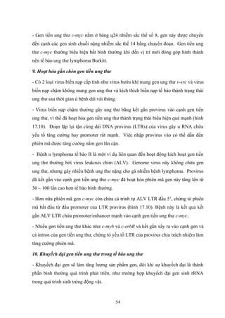 - Gen tiền ung thư c-myc nằm ở băng q24 nhiễm sắc thể số 8, gen này được chuyển
đến cạnh các gen sinh chuỗi nặng nhiễm sắc thể 14 bằng chuyển đoạn. Gen tiền ung
thư c-myc thường biểu hiện bất bình thường khi đến vị trí mới đóng góp hình thành
nên tế bào ung thư lymphoma Burkitt.
9. Hoạt hóa gắn chèn gen tiền ung thư
- Có 2 loại virus biến nạp cấp tính như virus bướu khỉ mang gen ung thư v-src và virus
biến nạp chậm không mang gen ung thư và kích thích biến nạp tế bào thành trạng thái
ung thư sau thời gian ủ bệnh dài vài tháng.
- Virus biến nạp chậm thường gây ung thư bằng kết gắn provirus vào cạnh gen tiền
ung thư, vì thế đã hoạt hóa gen tiền ung thư thành trạng thái biểu hiện quá mạnh (hình
17.10). Đoạn lặp lại tận cùng dài DNA provirus (LTRs) của virus gây u RNA chứa
yếu tố tăng cường hay promoter rất mạnh. Việc nhập provirus vào có thể dẫn đến
phiên mã được tăng cường nằm gen lân cận.
- Bệnh u lymphoma tế bào B là một ví dụ liên quan đến hoạt động kích hoạt gen tiền
ung thư thường bởi virus leukosis chim (ALV). Genome virus này không chứa gen
ung thư, nhưng gây nhiều bệnh ung thư nặng cho gà nhiễm bệnh lymphoma. Provirus
đã kết gắn vào cạnh gen tiền ung thư c-myc đã hoạt hóa phiên mã gen này tăng lên từ
30 – 100 lần cao hơn tế bào bình thường.
- Hơn nữa phiên mã gen c-myc còn chứa cả trình tự ALV LTR đầu 5’, chứng tỏ phiên
mã bắt đầu từ đầu promoter của LTR provirus (hình 17.10). Bệnh này là kết quả kết
gắn ALV LTR chứa promoter/enhancer mạnh vào cạnh gen tiền ung thư c-myc.
- Nhiều gen tiền ung thư khác như c-myb và c-erbB và kết gắn xẩy ra vào cạnh gen và
cả intron của gen tiền ung thư, chứng tỏ yếu tố LTR của provirus chịu trách nhiệm làm
tăng cường phiên mã.
10. Khuyếch đại gen tiền ung thư trong tế bào ung thư
- Khuyếch đại gen sẽ làm tăng lượng sản phẩm gen, đôi khi sự khuyếch đại là thành
phần bình thường quá trình phát triển, như trường hợp khuyếch đại gen sinh rRNA
trong quá trình sinh trứng động vật.
54
 