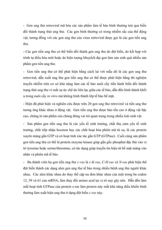 - Gen ung thư retroviral mã hóa các sản phẩm làm tế bào bình thường trải qua biến
đổi thành trạng thái ung thư. Các gen bình thường có trong nhiễm sắc của thể động
vật, tương đồng với các gen ung thư của virus retroviral được gọi là các gen tiền ung
thư.
- Các gen tiền ung thư có thể biến đổi thành gen ung thư do đột biến, do kết hợp với
trình tự điều hòa mới hoặc do hiện tượng khuyếch đại gen làm sản sinh quá nhiều sản
phẩm gen tiền ung thư.
- Gen tiền ung thư có thể phát hiện bằng cách lai với mẫu dò là các gen ung thư
retroviral, dẫn xuất ung thư gen tiền ung thư có thể được phát hiện bằng thí nghiệm
truyền nhiễm trên cơ sở khả năng làm các tế bào nuôi cấy tiến hành biến đổi thành
trạng thái ung thư vì mất sự ức chế do liên lạc giữa các tế bào, dẫn đến hình thành khối
u trong nuôi cấy in vitro mà không hình thành lớp tế bào bề mặt.
- Hiện đã phát hiện và nghiên cứu được trên 20 gen ung thư retroviral và tiền ung thư
tương ứng khác nhau ở động vật. Gen tiền ung thư được bảo tồn cao ở động vật bậc
cao, chứng tỏ sản phẩm của chúng đóng vai trò quan trọng trong nhiều loài sinh vật.
- Sản phẩm gen tiền ung thư là các yếu tố sinh trưởng, chất thụ cảm yếu tố sinh
trưởng, chất tiếp nhận hocmon hay các chất hoạt hóa phiên mã từ xa, là các protein
xuyên màng gắn GTP và có hoạt tính xúc tác gắn GTP (GTPase). Cuối cùng sản phẩm
gen tiền ung thư có thể là protein enzyme kinase giúp gắn gốc phosphat đặc thù vào vị
trí tyrosine hoặc serine/threonine, có tác dụng giúp truyền tín hiệu từ bề mặt màng vào
nhân và phiên mã tế bào.
- Ba thành viên họ gen tiền ung thư c-ras là c-K-ras, C-H-ras và N-ras phát hiện thể
đột biến thành các dạng alen gen ung thư tế bào trong nhiều bệnh ung thư người khác
nhau. Các alen khác nhau do thay thế cặp nu đơn khác nhau của một trong ba codon
12, 59 và 61 của mRNA, làm thay đổi amino acid tại vị trí nay gây nên. Dẫn đến làm
mất hoạt tính GTPase của protein c-ras làm protein này mất khả năng điều khiển bình
thường làm xuất hiện ung thư ở dạng đột biến c-ras này.
58
 