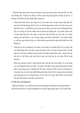 + Thuyết dòng mầm (germ line) cho rằng có một gen dòng mầm tách biệt đối với mỗi
một kháng thể. Thuyết này đúng về khía cạnh tổng hợp protein nhưng lại phi lý vì
không có đủ DNA để đảm nhận chức năng này.
+ Thuyết đột biến Soma cho rằng chỉ có một hoặc một vài gen dòng mầm đặc thù
cho mỗi một lớp kháng thể chủ yếu và tính đa dạng được sinh ra bởi tần số cao của
đột biến soma. Là đột biến xảy ra trong các tế bào soma sản sinh ra kháng thể hoặc
xẩy ra ở trong các tế bào mầm sinh ra tế bào tạo kháng thể. Tuy nhiên, hiện chưa
có một phát hiện nào cho thấy có một tần suất đột biến cao chỉ xẩy ra ở trong
những gen nhất định và chỉ ở trong những loại tế bào nhất định. Tuy nhiên, bằng
cơ chế nào quá trình đó xẩy ra và làm thế nào quá trình đó được điều khiển thì vẫn
không rõ.
+ Thuyết gen nhỏ (minigene) cho rằng sự đa dạng của kháng thể là do sự thay đổi
của nhiều đoạn nhỏ của một vài gen tạo thành một vô số các tổ hợp có thể. Sự sắp
xếp lại có thể xẩy ra bằng các quá trình tái tổ hợp trong tế bào soma. Quá trình này
đòi hỏi cơ chế hoàn toàn khác biệt trong việc sắp xếp lại các đoạn DNA trong
genome.
- Hiện nay chúng ta biết rõ rằng thuyết gene nhỏ đã giải thích đúng về sự đa dạng
của các kháng thể quan sát thấy. Tuy nhiên, đột biến soma cũng đóng góp làm tăng
thêm sự đa dạng của các kháng thể. Hơn nữa, chúng ta biết rõ rằng có một đoạn ở
vùng bảo thủ của mỗi một chuỗi kháng thể được đặc thù bởi một gen hay một đoạn
gen, đoạn gen này có trong genome với chỉ một số ít copy. Bởi thế tất cả ba thuyết
nêu trên đều đúng ở một khía cạnh nào đó.
b/ Cấu trúc của kháng thể
- Kháng thể thuộc vào một lớp các protein là globulin miễn dịch (immunoglobulin),
mỗi kháng thể chứa 4 chuỗi polypeptide, hai chuỗi nặng giống nhau và hai chuỗi nhẹ
7
 