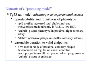 Elements of a “promising model”
Tg53 rat model: advantages as experimental system
 reproducibility and robustness of phenotype
• lipid profile: increased total cholesterol and
triglycerides predominantly in VLDL, low HDL
• “culprit” plaque phenotype in proximal right coronary
artery
• “stable” occlusive plaque in smaller coronary arteries
 reasonable duration to valid endpoints
• 6-9+ month range of proximal coronary plaque
development on regular rat chow: eccentric
macrophage-foam cell rich plaque which progresses to
“culprit” plaque at endstage
 