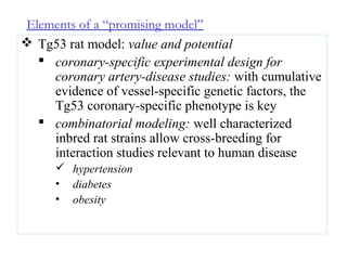 Elements of a “promising model”
 Tg53 rat model: value and potential
 coronary-specific experimental design for
coronary artery-disease studies: with cumulative
evidence of vessel-specific genetic factors, the
Tg53 coronary-specific phenotype is key
 combinatorial modeling: well characterized
inbred rat strains allow cross-breeding for
interaction studies relevant to human disease
 hypertension
• diabetes
• obesity
 