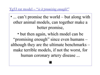 • ... can’t promise the world – but along with
other animal models, can together make a
better promise,
• but then again, which model can be
“promising enough” since even humans –
although they are the ultimate benchmarks –
make terrible models, if not the worst, for
human coronary artery disease ...

Tg53 rat model – “is it promising enough?”
 