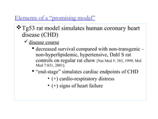 Elements of a “promising model”
Tg53 rat model simulates human coronary heart
disease (CHD)
disease course
 decreased survival compared with non-transgenic –
non-hyperlipidemic, hypertensive, Dahl S rat
controls on regular rat chow [Nat Med 5: 383, 1999; Mol
Med 7:831, 2001].
 “end-stage” simulates cardiac endpoints of CHD
• (+) cardio-respiratory distress
• (+) signs of heart failure
 