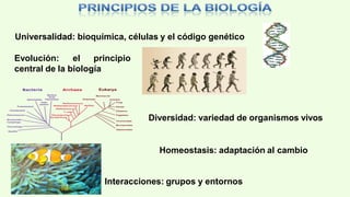 Biologia