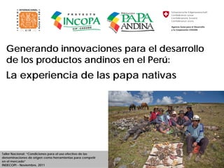 Generando innovaciones para el desarrollo
de los productos andinos en el Perú:
La experiencia de las papa nativas
Taller Nacional: “Condiciones para el uso efectivo de las
denominaciones de origen como herramientas para competir
en el mercado”
INDECOPI - Noviembre, 2011
 