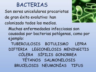 Son seres unicelulares procariotas
de gran éxito evolutivo: han
colonizado todos los medios.
Muchas enfermedades infecciosas son
causadas por bacterias patógenas, como por
ejemplo:
TUBERCULOSIS BOTULISMO LEPRA
DIFTERIA LEGIONELOSIS MENINGITIS
CÓLERA SÍFILIS GONORREA
TÉTANOS SALMONELOSIS
BRUCELOSIS NEUMONÍAS TIFUS
BACTERIAS
 