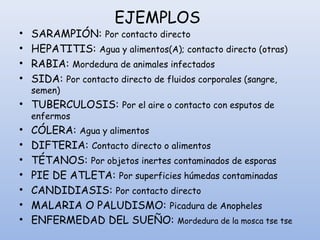 EJEMPLOS
• SARAMPIÓN: Por contacto directo
• HEPATITIS: Agua y alimentos(A); contacto directo (otras)
• RABIA: Mordedura de animales infectados
• SIDA: Por contacto directo de fluidos corporales (sangre,
semen)
• TUBERCULOSIS: Por el aire o contacto con esputos de
enfermos
• CÓLERA: Agua y alimentos
• DIFTERIA: Contacto directo o alimentos
• TÉTANOS: Por objetos inertes contaminados de esporas
• PIE DE ATLETA: Por superficies húmedas contaminadas
• CANDIDIASIS: Por contacto directo
• MALARIA O PALUDISMO: Picadura de Anopheles
• ENFERMEDAD DEL SUEÑO: Mordedura de la mosca tse tse
 