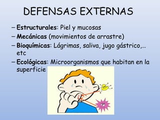 DEFENSAS EXTERNAS
– Estructurales: Piel y mucosas
– Mecánicas (movimientos de arrastre)
– Bioquímicas: Lágrimas, saliva, jugo gástrico,…
etc
– Ecológicas: Microorganismos que habitan en la
superficie externa del organismo
 