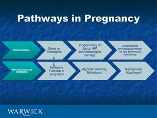 OxPUP: A Prebirth
Assessment Pathway
 