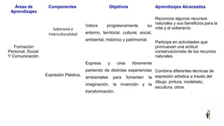 Áreas de
Aprendizajes
Componentes Objetivos Aprendizajes Alcanzados
Formación
Personal, Social
Y Comunicación.
Soberanía e
Interculturalidad
Expresión Plástica.
Valora progresivamente su
entorno, territorial, cultural, social,
ambiental, histórico y patrimonial.
Expresa y crea libremente
partiendo de distintas experiencias
ambientales para fomenten la
imaginación, la invención y la
transformación.
Reconoce algunos recursos
naturales y sus beneficios para la
vida y al soberanía.
Participa en actividades que
promuevan una actitud
conservacionista de los recursos
naturales.
Combina diferentes técnicas de
expresión artística a través del
dibujo, pintura, modelado,
escultura, otros.
 