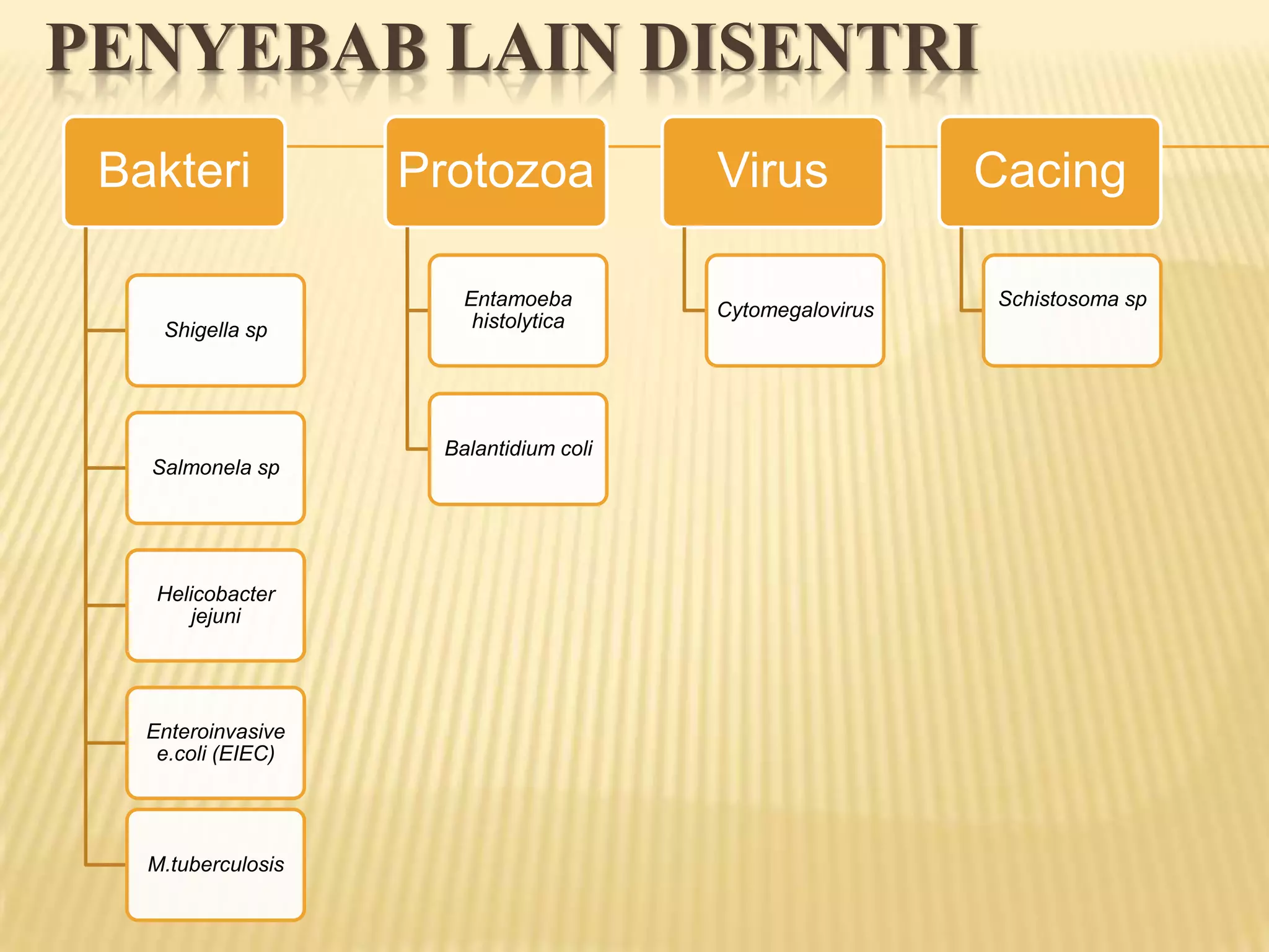 PENYEBAB LAIN DISENTRI
 Bakteri            Protozoa            Virus             Cacing

                       Entamoeba                          Schistosoma sp
                                        Cytomegalovirus
    Shigella sp         histolytica




                     Balantidium coli
   Salmonela sp




    Helicobacter
        jejuni




   Enteroinvasive
    e.coli (EIEC)




   M.tuberculosis
 
