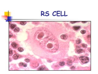 RS CELL
 