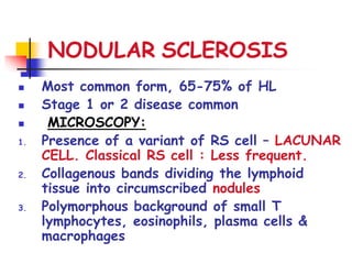 NODULAR SCLEROSIS
 Most common form, 65-75% of HL
 Stage 1 or 2 disease common
 MICROSCOPY:
1. Presence of a variant of RS cell – LACUNAR
CELL. Classical RS cell : Less frequent.
2. Collagenous bands dividing the lymphoid
tissue into circumscribed nodules
3. Polymorphous background of small T
lymphocytes, eosinophils, plasma cells &
macrophages
 