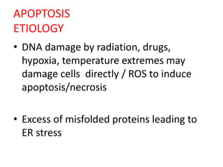 APOPTOSIS
ETIOLOGY
• DNA damage by radiation, drugs,
hypoxia, temperature extremes may
damage cells directly / ROS to induce
apoptosis/necrosis
• Excess of misfolded proteins leading to
ER stress
 
