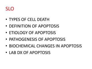 SLO
• TYPES OF CELL DEATH
• DEFINITION OF APOPTOSIS
• ETIOLOGY OF APOPTOSIS
• PATHOGENESIS OF APOPTOSIS
• BIOCHEMICAL CHANGES IN APOPTOSIS
• LAB DX OF APOPTOSIS
 