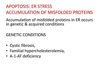 APOPTOSIS: ER STRESS
ACCUMULATION OF MISFOLDED PROTEINS
Accumulation of misfolded proteins in ER occurs
in genetic & acquired conditions
GENETIC CONDITIONS
• Cystic fibrosis,
• Familial hypercholesterolemia,
• A-1-AT deficiency
 
