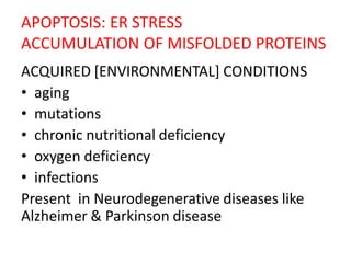 APOPTOSIS: ER STRESS
ACCUMULATION OF MISFOLDED PROTEINS
ACQUIRED [ENVIRONMENTAL] CONDITIONS
• aging
• mutations
• chronic nutritional deficiency
• oxygen deficiency
• infections
Present in Neurodegenerative diseases like
Alzheimer & Parkinson disease
 