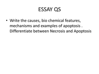 ESSAY QS
• Write the causes, bio chemical features,
mechanisms and examples of apoptosis .
Differentiate between Necrosis and Apoptosis
 
