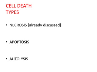 CELL DEATH
TYPES
• NECROSIS [already discussed]
• APOPTOSIS
• AUTOLYSIS
 