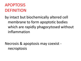 APOPTOSIS
DEFINITION
by intact but biochemically altered cell
membrane to form apoptotic bodies
which are rapidly phagocytosed without
inflammation
Necrosis & apoptosis may coexist -
necroptosis
 