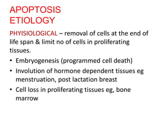 APOPTOSIS
ETIOLOGY
PHYISIOLOGICAL – removal of cells at the end of
life span & limit no of cells in proliferating
tissues.
• Embryogenesis (programmed cell death)
• Involution of hormone dependent tissues eg
menstruation, post lactation breast
• Cell loss in proliferating tissues eg, bone
marrow
 