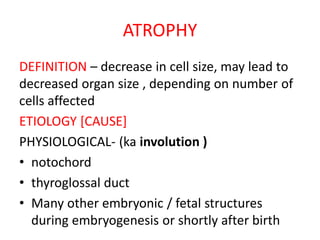 CELLULAR ADAPTATIONS | PDF