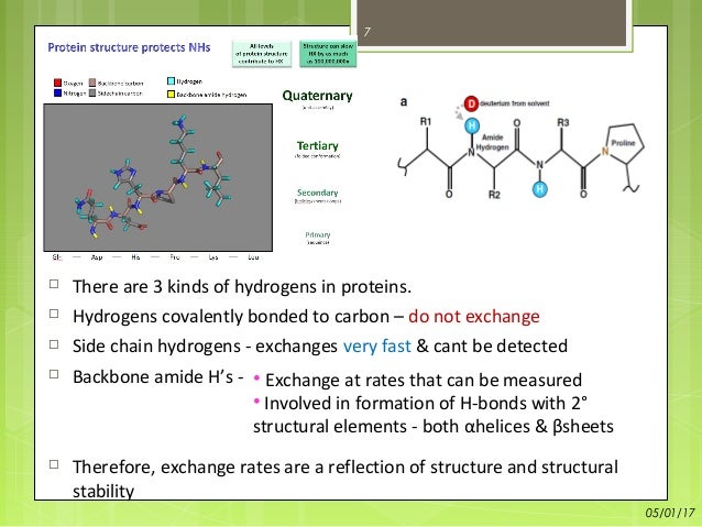 3 steps solution formation Deuterium mass exchange Hydrogen spectrometry MS) (HDX