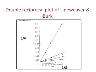 Double reciprocal plot of Lineweaver &
Burk
1/V
1/S
 