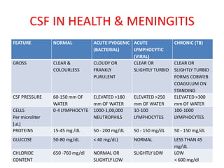 CSF EXAMINATION | PDF