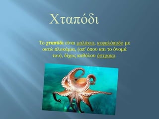 Χταπόδι
Το χταπόδι είναι μαλάκιο, κεφαλόποδο με
οκτώ πλοκάμια, (απ' όπου και το όνομά
του), δίχως καθόλου όστρακο.
 
