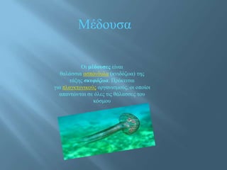 Μέδουσα
Οι μέδουσες είναι
θαλάσσια ασπόνδυλα (κνιδόζωα) της
τάξης σκυφόζωα. Πρόκειται
για πλαγκτονικούς οργανισμούς, οι οποίοι
απαντώνται σε όλες τις θάλασσες του
κόσμου
 