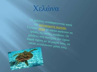 Xελώνα
 