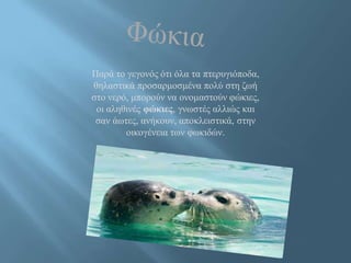 Παρά το γεγονός ότι όλα τα πτερυγιόποδα,
θηλαστικά προσαρμοσμένα πολύ στη ζωή
στο νερό, μπορούν να ονομαστούν φώκιες,
οι αληθινές φώκιες, γνωστές αλλιώς και
σαν άωτες, ανήκουν, αποκλειστικά, στην
οικογένεια των φωκιδών.
 