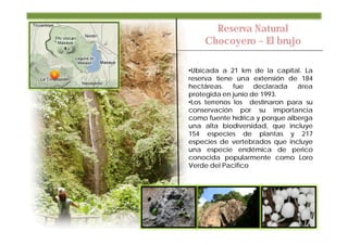 Reserva Natural
    Chocoyero – El brujo

•Ubicada a 21 km de la capital. La
reserva tiene una extensión de 184
hectáreas. fue declarada área
protegida en junio de 1993.
•Los terrenos los destinaron para su
conservación por su importancia
como fuente hídrica y porque alberga
una alta biodiversidad, que incluye
154 especies de plantas y 217
especies de vertebrados que incluye
una especie endémica de perico
conocida popularmente como Loro
Verde del Pacifico
 