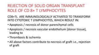 REJECTION OF SOLID ORGAN TRANSPLANT
ROLE OF CD 8+ T LYMPHOCYTES
CD8+TL ARE IMMUNOLOGICALLY ACTIVATED TO TRANSFORM
INTO CYTOTOXIC T LYMPHOCYTES, WHICH RESULT IN:
• Apoptosis / necrosis of donor parenchymal cells
• Apoptosis / necrosis vascular endothelium [donor tissue],
leading to
• Thrombosis & ischemia
• All above factors contribute to necrosis of graft i.e., rejection
of graft
 