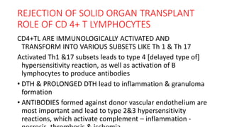 REJECTION OF SOLID ORGAN TRANSPLANT
ROLE OF CD 4+ T LYMPHOCYTES
CD4+TL ARE IMMUNOLOGICALLY ACTIVATED AND
TRANSFORM INTO VARIOUS SUBSETS LIKE Th 1 & Th 17
Activated Th1 &17 subsets leads to type 4 [delayed type of]
hypersensitivity reaction, as well as activation of B
lymphocytes to produce antibodies
• DTH & PROLONGED DTH lead to inflammation & granuloma
formation
• ANTIBODIES formed against donor vascular endothelium are
most important and lead to type 2&3 hypersensitivity
reactions, which activate complement – inflammation -
 
