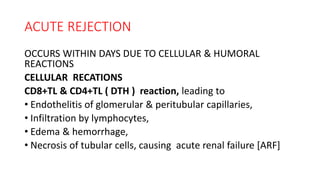 ACUTE REJECTION
OCCURS WITHIN DAYS DUE TO CELLULAR & HUMORAL
REACTIONS
CELLULAR RECATIONS
CD8+TL & CD4+TL ( DTH ) reaction, leading to
• Endothelitis of glomerular & peritubular capillaries,
• Infiltration by lymphocytes,
• Edema & hemorrhage,
• Necrosis of tubular cells, causing acute renal failure [ARF]
 