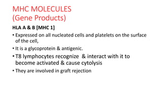 MHC MOLECULES
(Gene Products)
HLA A & B [MHC 1]
• Expressed on all nucleated cells and platelets on the surface
of the cell,
• It is a glycoprotein & antigenic.
•T8 lymphocytes recognize & interact with it to
become activated & cause cytolysis
• They are involved in graft rejection
 