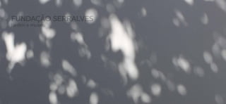 FUNDAÇÃO SERRALVES
     jardim e museu




34                        35
 