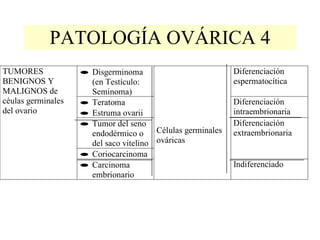 PATOLOGÍA OVÁRICA 4 