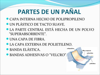 PARTES DE UN PAÑAL
CAPA INTERNA HECHO DE POLIPROPILENO
UN PLÁSTICO DE TACTO SUAVE.
LA PARTE CENTRAL ESTÁ HECHA DE UN POLVO
"SUPERABSORBENTE”.
UNA CAPA DE FIBRA.
LA CAPA EXTERNA DE POLIETILENO.
BANDA ELÁSTICA.
BANDAS ADHESIVAS O "VELCRO".
 