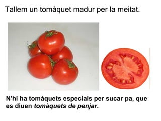 Tallem un tomàquet madur per la meitat.




N'hi ha tomàquets especials per sucar pa, que
es diuen tomàquets de penjar.
 