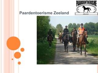 Paardentoerisme Zeeland
 