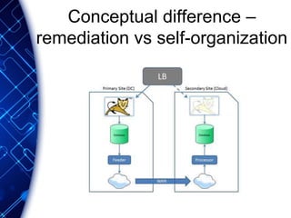 Conceptual difference –
remediation vs self-organization
 