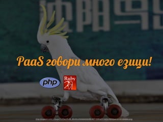 PaaS говори много езици!
4.bp.blogspot.com/_vQwjpChUGaU/S-6S_MmHrcI/AAAAAAAABm8/Y1GWqiQ1nbE/s1600/parrot+on+skates.png
 