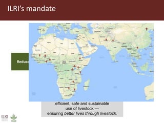 Partners of the Program Against African Trypanosomosis: Research institutions’ roles, activities and synergies with the progressive control pathway for African animal trypanosomosis