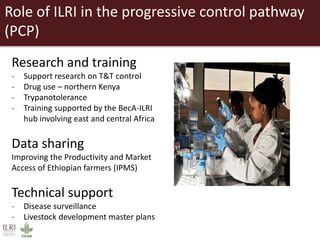 Partners of the Program Against African Trypanosomosis: Research institutions’ roles, activities and synergies with the progressive control pathway for African animal trypanosomosis